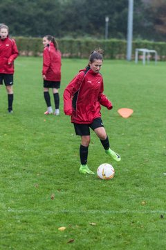 Bild 111 - B-Juniorinnen SV Henstedt Ulzburg - MSG Steinhorst Krummesse : Ergebnis: 4:0